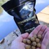 Moonshine Boilies Shelf Life
