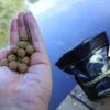 Moonshine Boilies Shelf Life