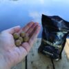 Moonshine Boilies Shelf Life